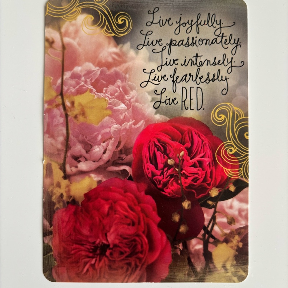 RARE Taylor Swift RED Postcard